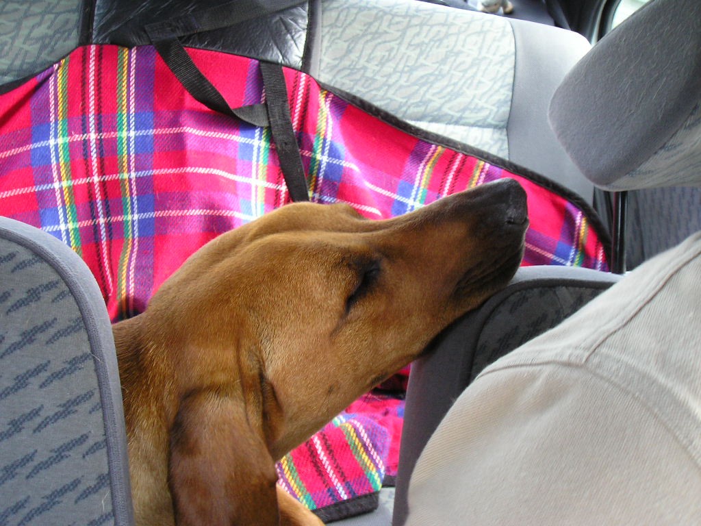 dovolená 2007 036
