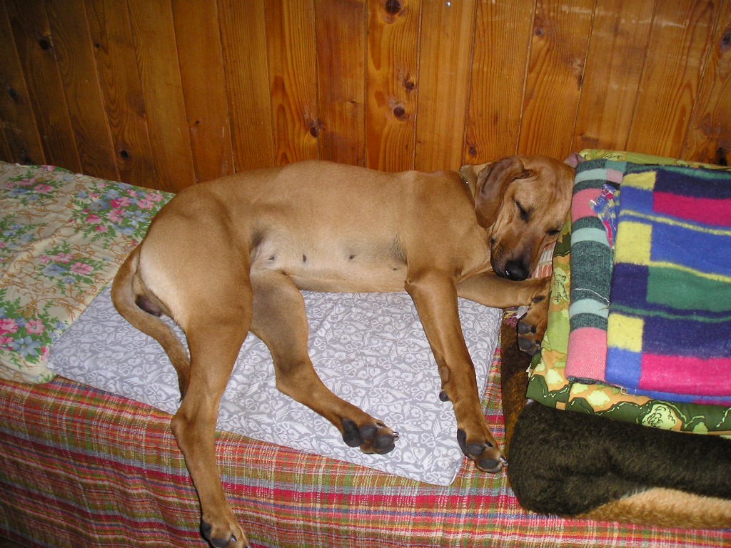 dovolená  2007 013