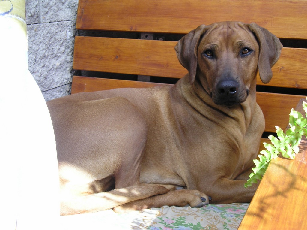 P1010006