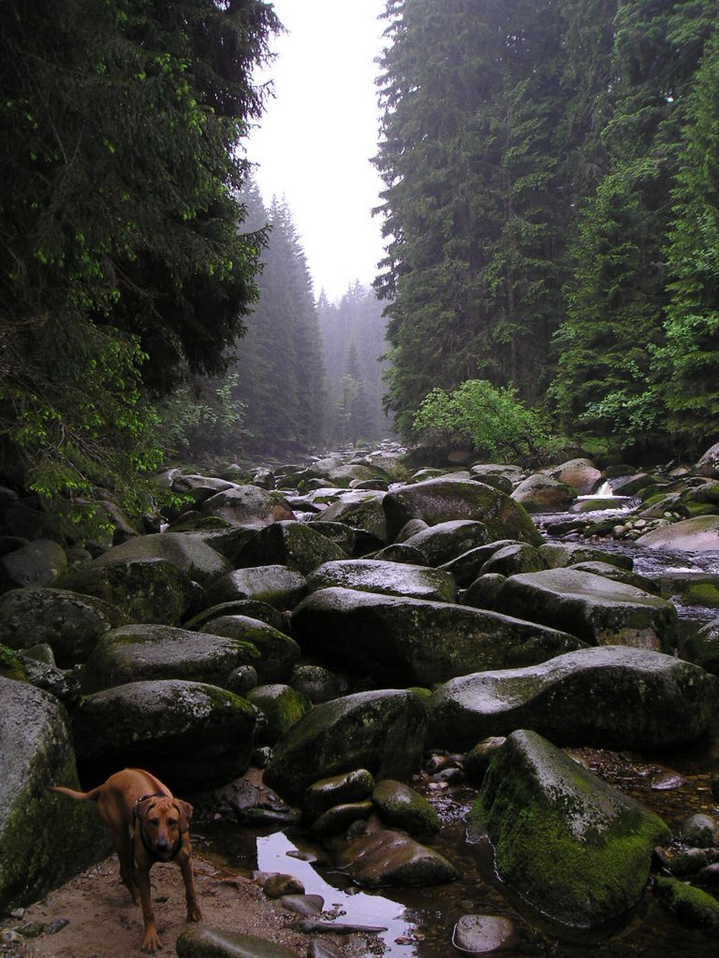 27.6.07 014