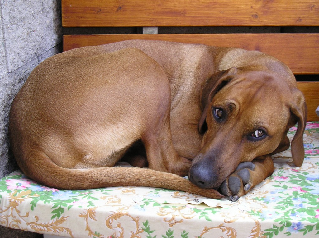 P10100006