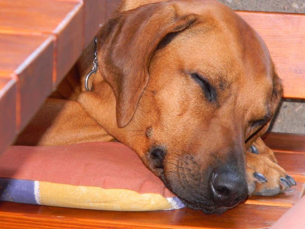 Michal promoce Lucky byt 023