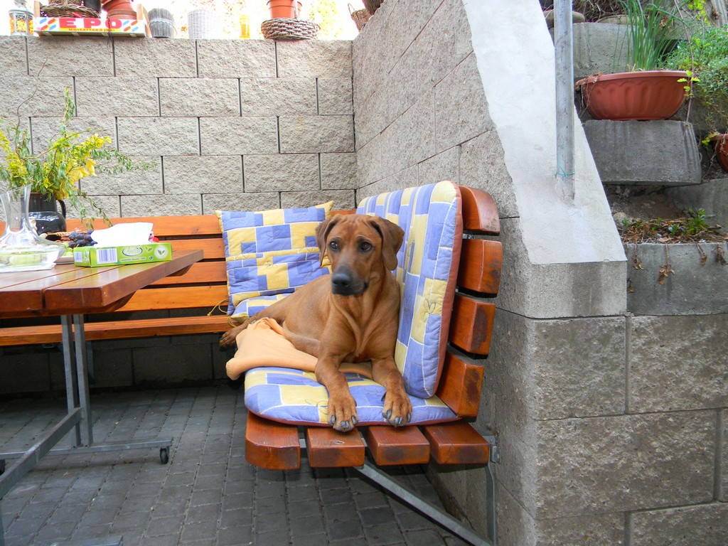 Bára.001